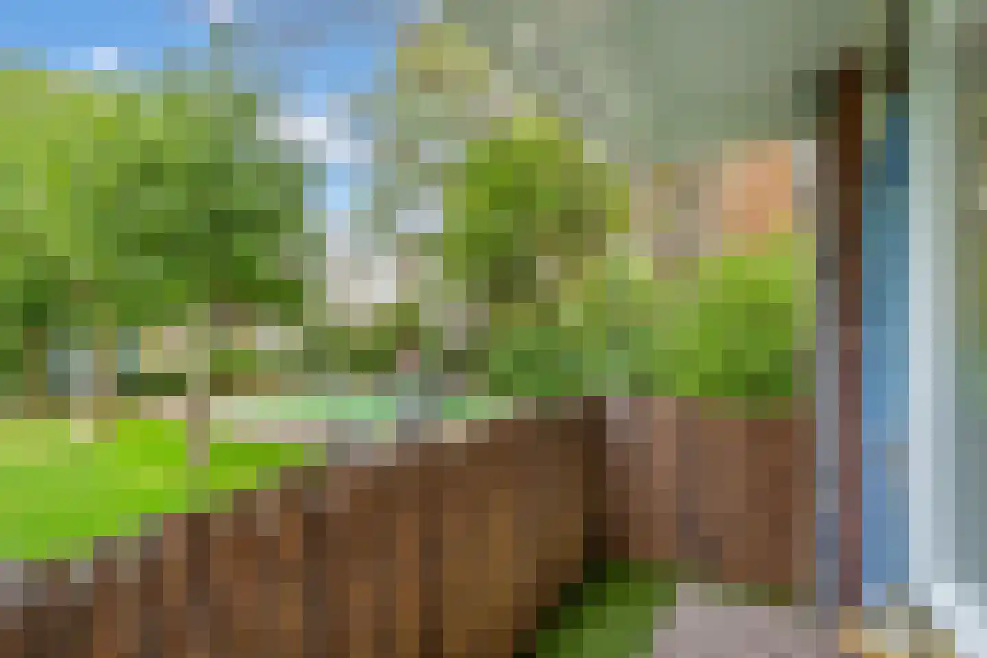 2e Eeldepad 47 Den Haag thumbnail 9