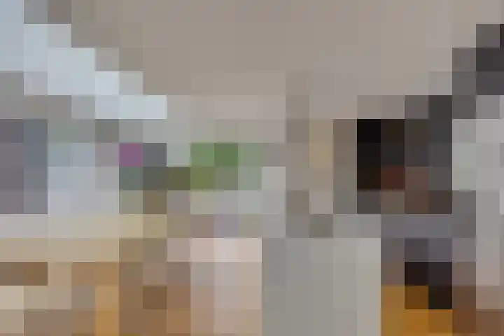 2e Eeldepad 49 Den Haag thumbnail 13