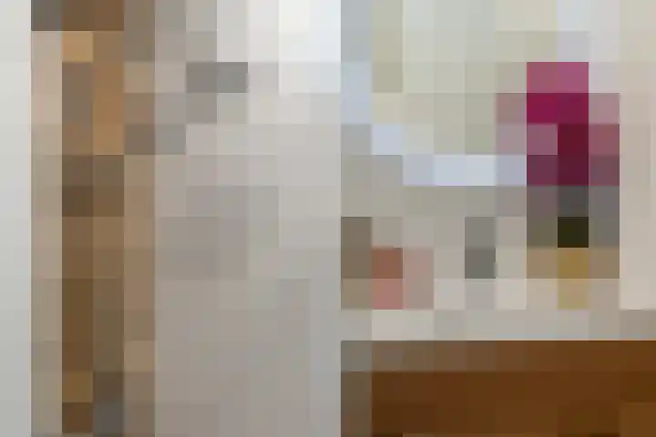 2e Eeldepad 49 Den Haag thumbnail 14