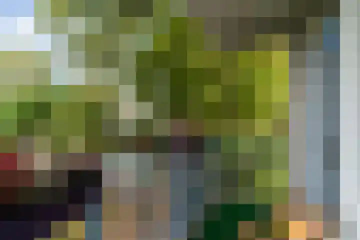 2e Eeldepad 49 Den Haag thumbnail 19