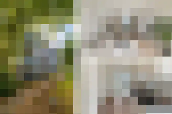 2e Eeldepad 49 Den Haag foto 2