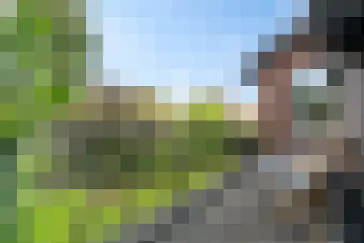 2e Eeldepad 49 Den Haag thumbnail 23