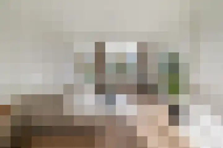 2e Eeldepad 49 Den Haag foto 3