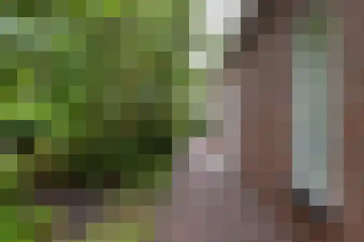2e Garstelaan 6 Westerlee thumbnail 10