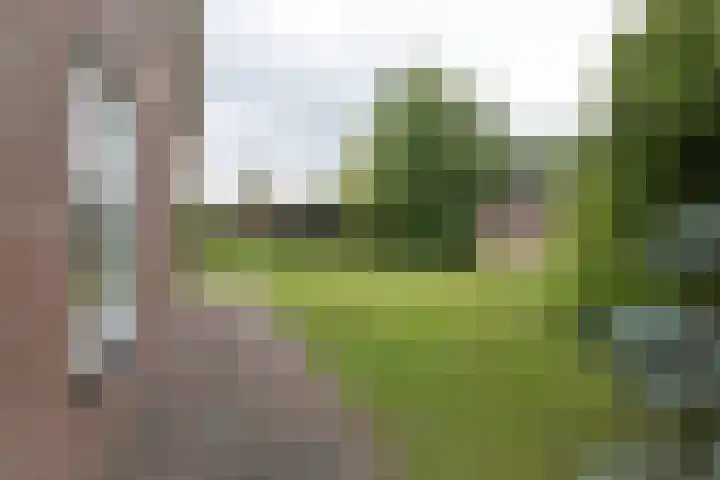 2e Garstelaan 6 Westerlee thumbnail 42