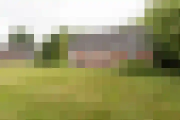 2e Garstelaan 6 Westerlee thumbnail 47
