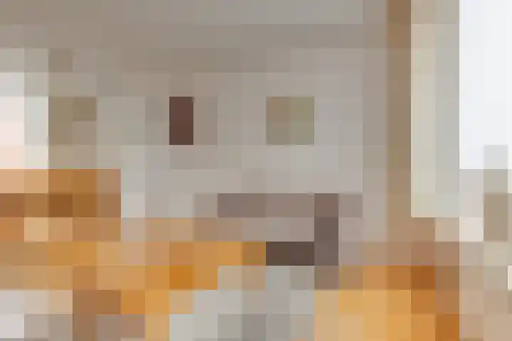 2e Gasthuisstraat 16 I Winterswijk thumbnail 8