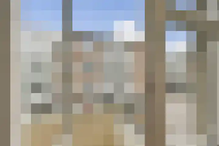 2e Goudsewagenhof 46 C Rotterdam thumbnail 16