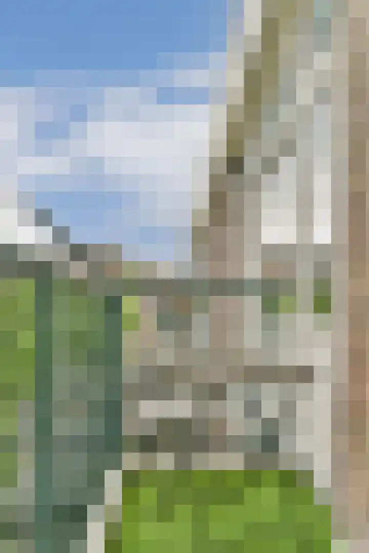 2e Goudsewagenhof 46 D Rotterdam thumbnail 15