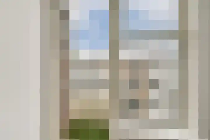2e Goudsewagenhof 46 D Rotterdam thumbnail 16