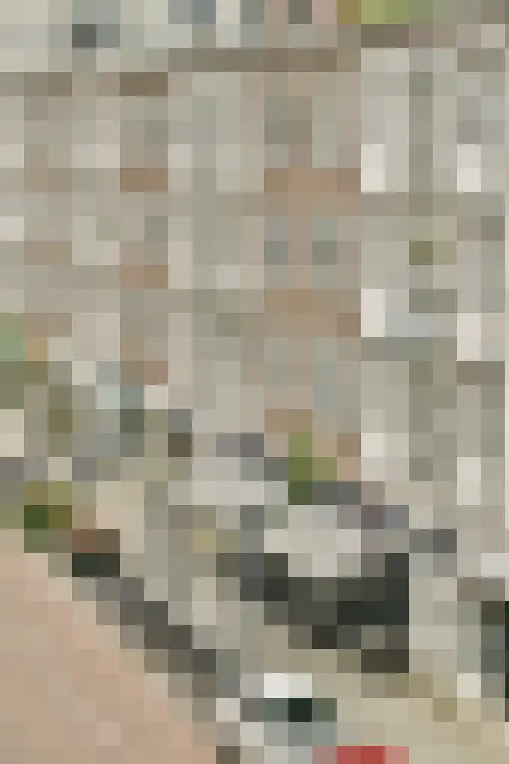 2e Goudsewagenhof 46 D Rotterdam thumbnail 19