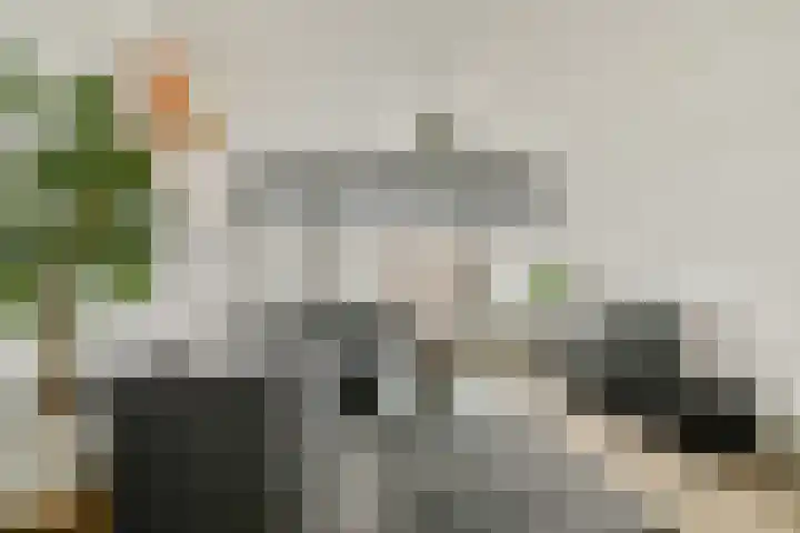 2e Goudsewagenhof 46 D Rotterdam thumbnail 4