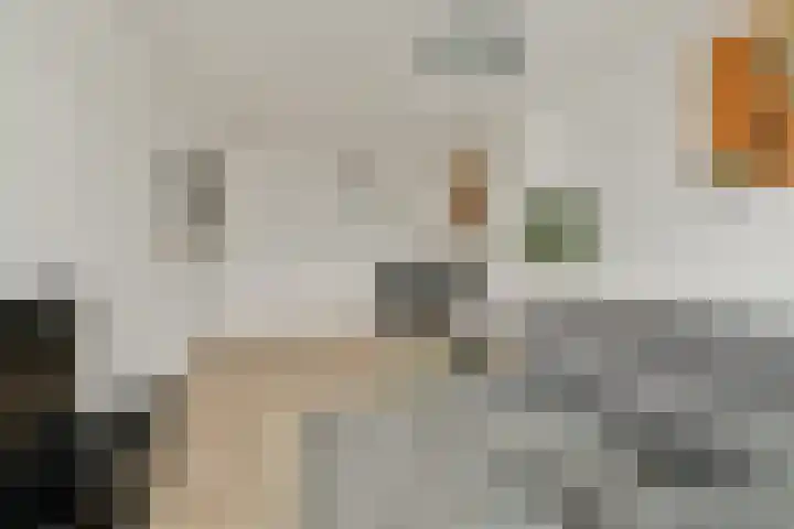 2e Goudsewagenhof 46 D Rotterdam thumbnail 5