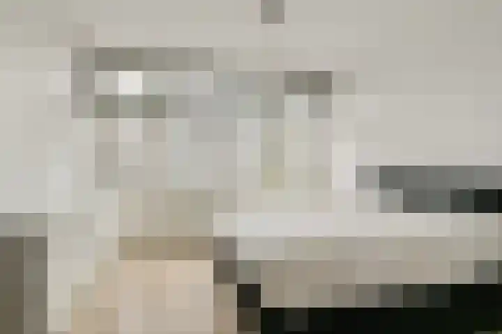 2e Goudsewagenhof 46 D Rotterdam thumbnail 8