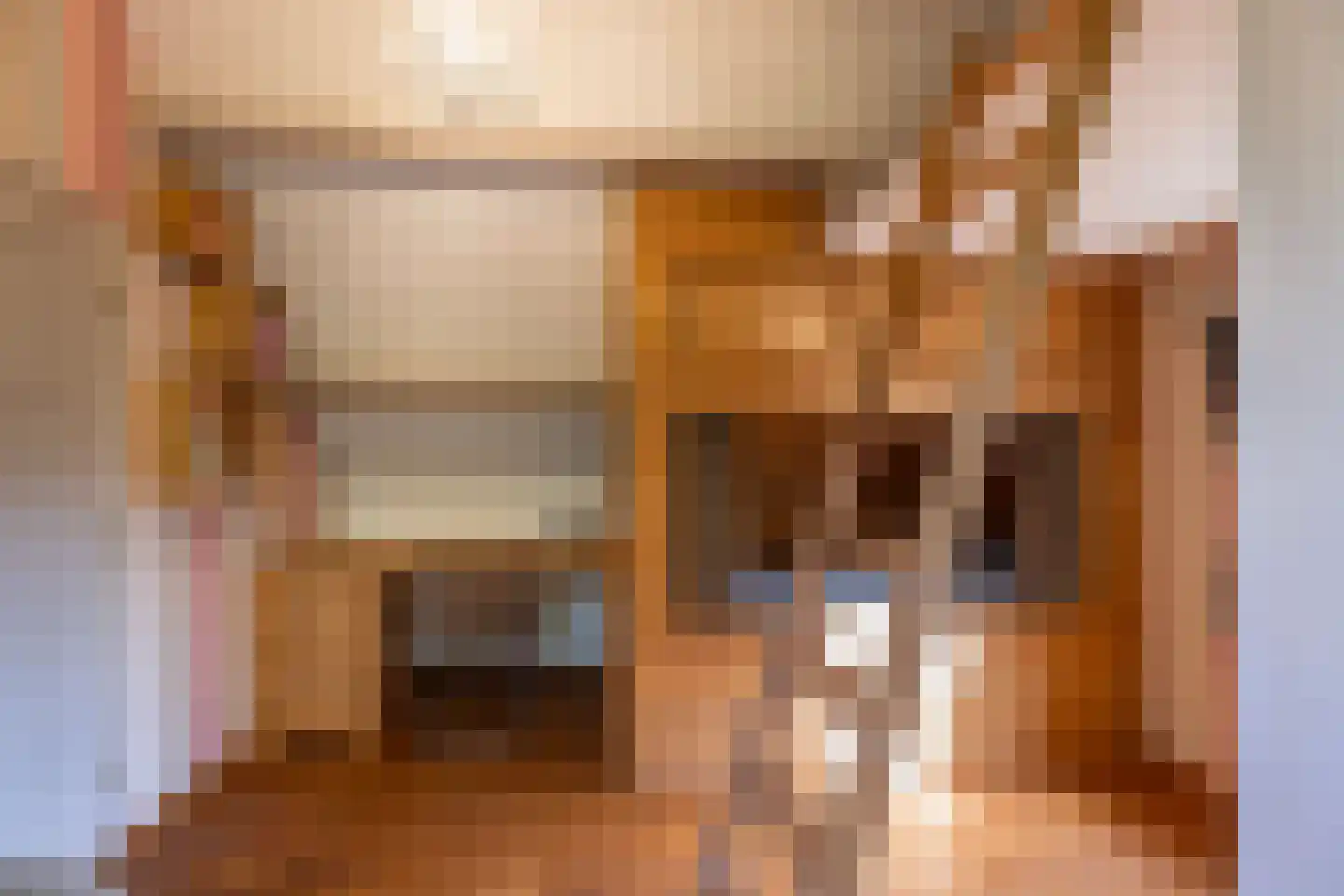 2e Heezerlaantje 8 Soest thumbnail 32