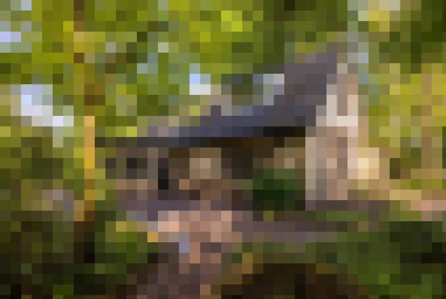 2e Heezerlaantje 8 Soest thumbnail 40