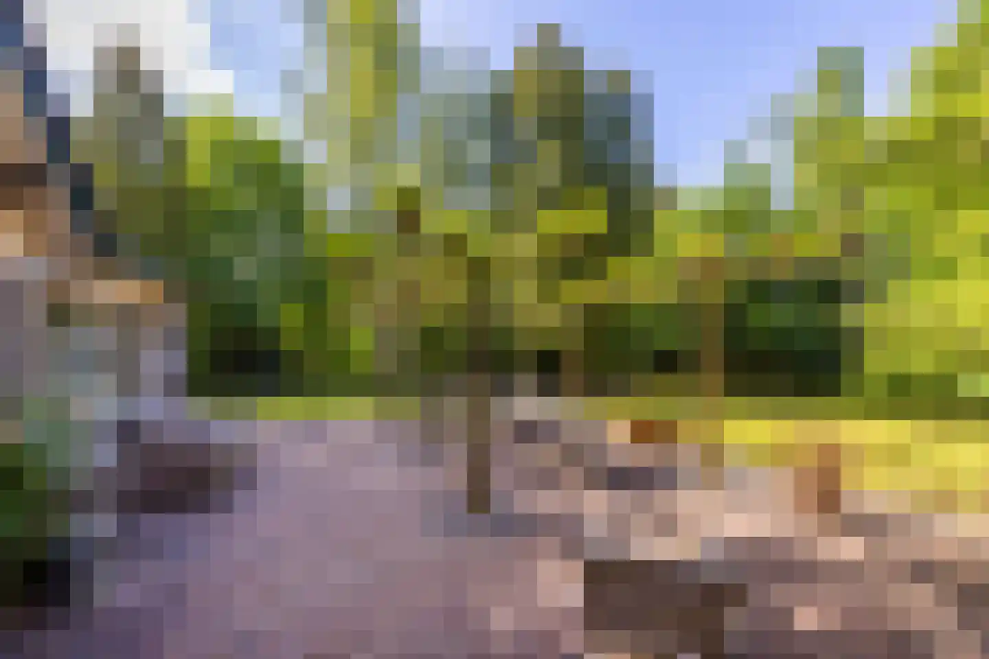 2e Heezerlaantje 8 Soest thumbnail 48