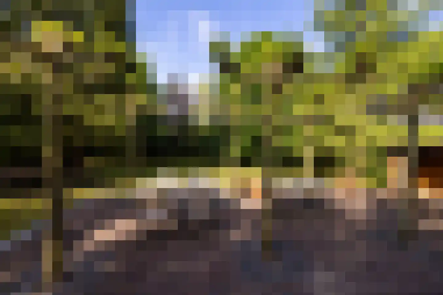 2e Heezerlaantje 8 Soest thumbnail 50
