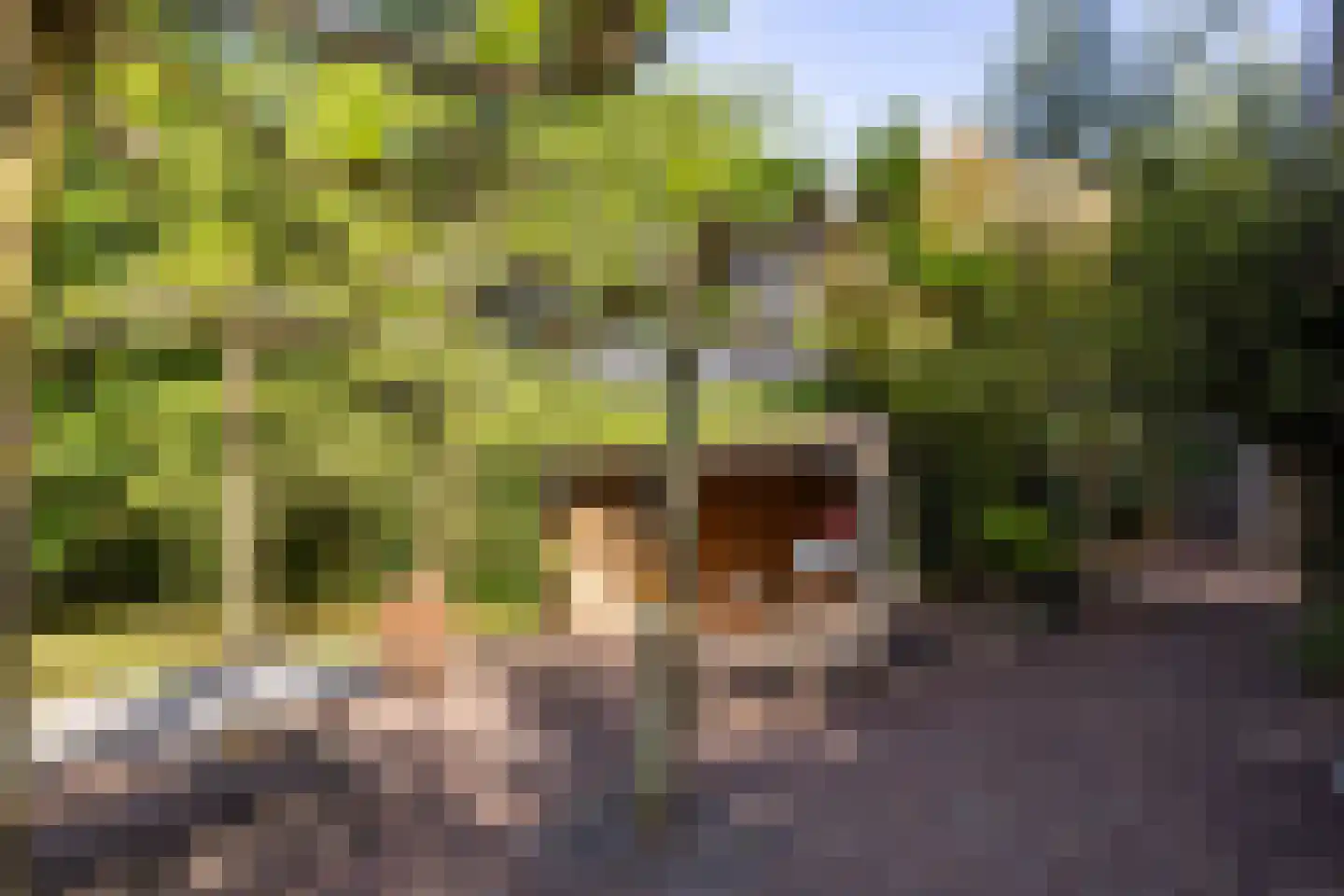 2e Heezerlaantje 8 Soest thumbnail 51