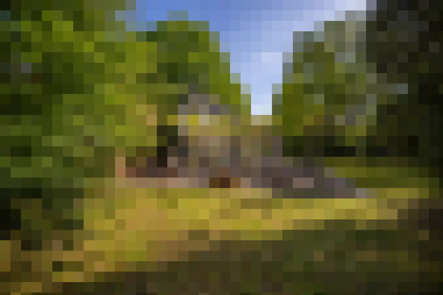 2e Heezerlaantje 8 Soest thumbnail 53