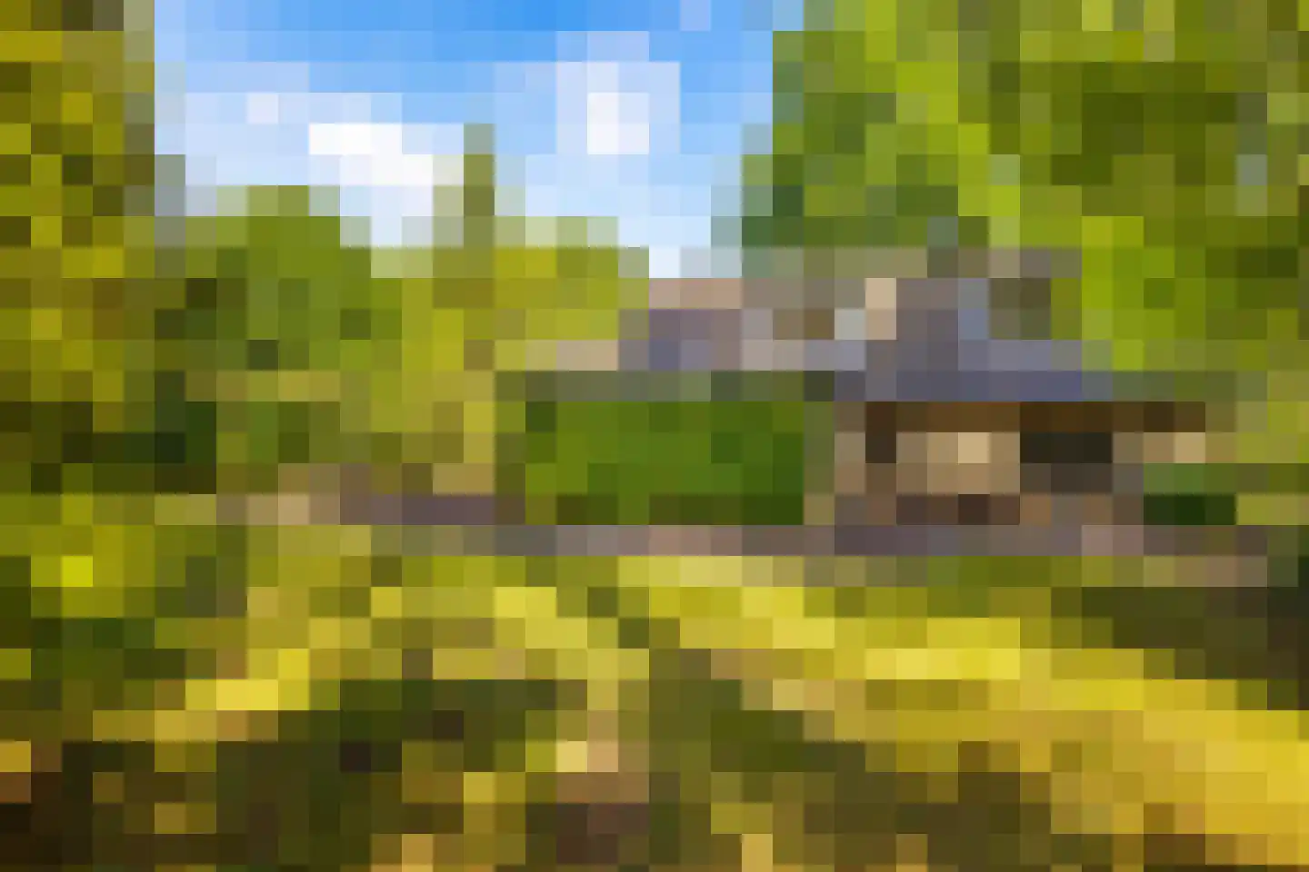 2e Heezerlaantje 8 Soest thumbnail 54