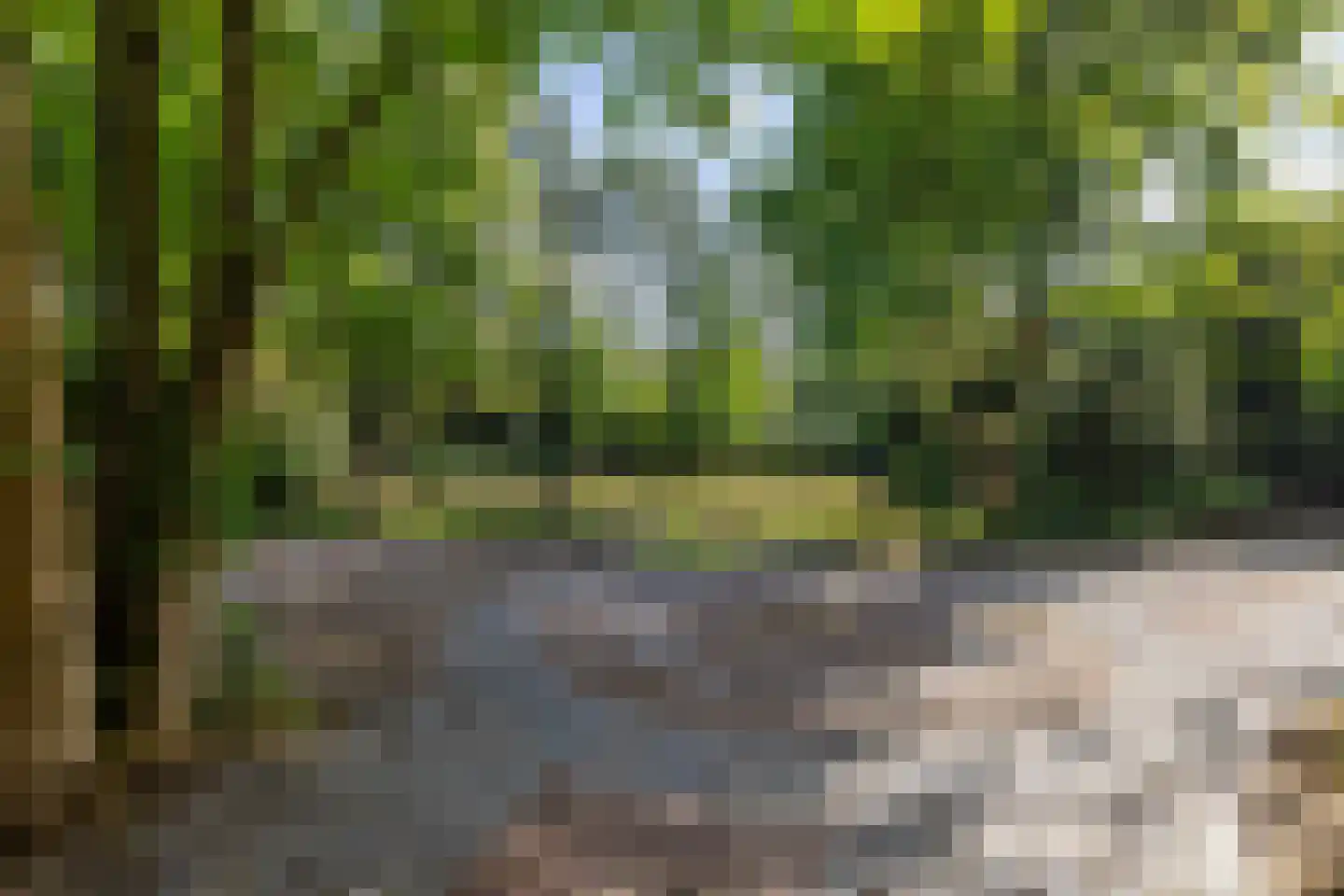 2e Heezerlaantje 8 Soest thumbnail 55