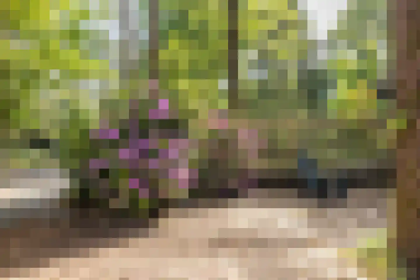 2e Heezerlaantje 8 Soest thumbnail 56
