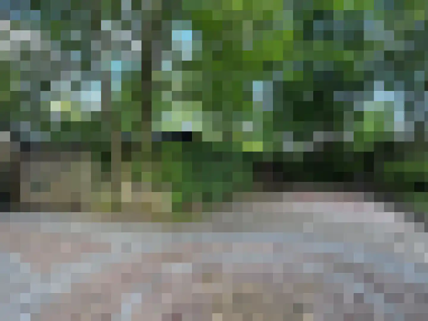 2e Heezerlaantje 8 Soest thumbnail 57