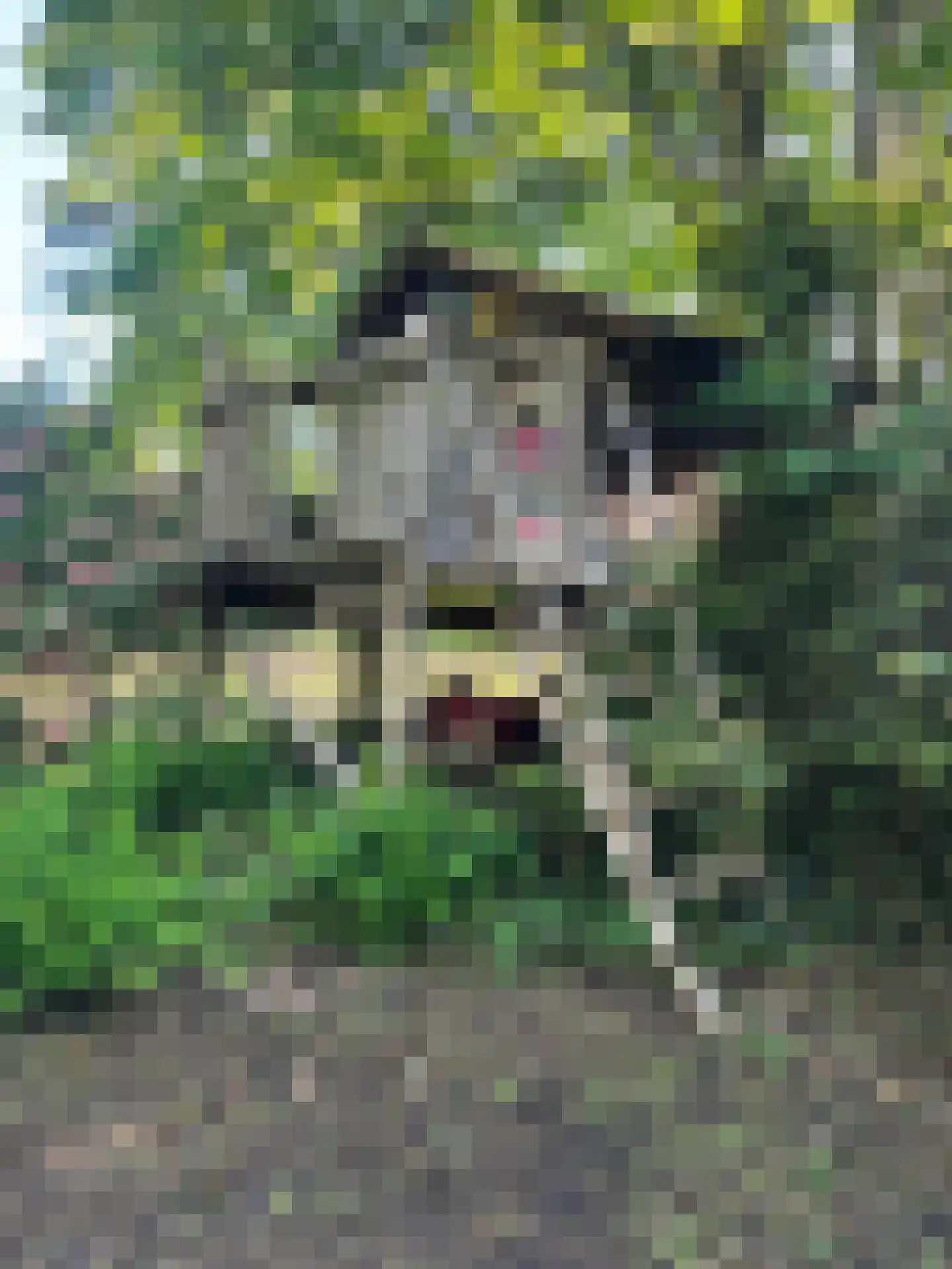 2e Heezerlaantje 8 Soest thumbnail 58