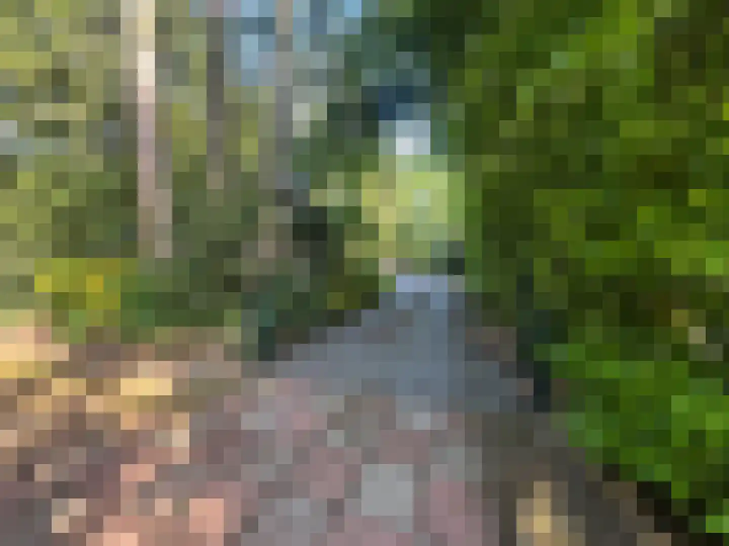 2e Heezerlaantje 8 Soest thumbnail 59