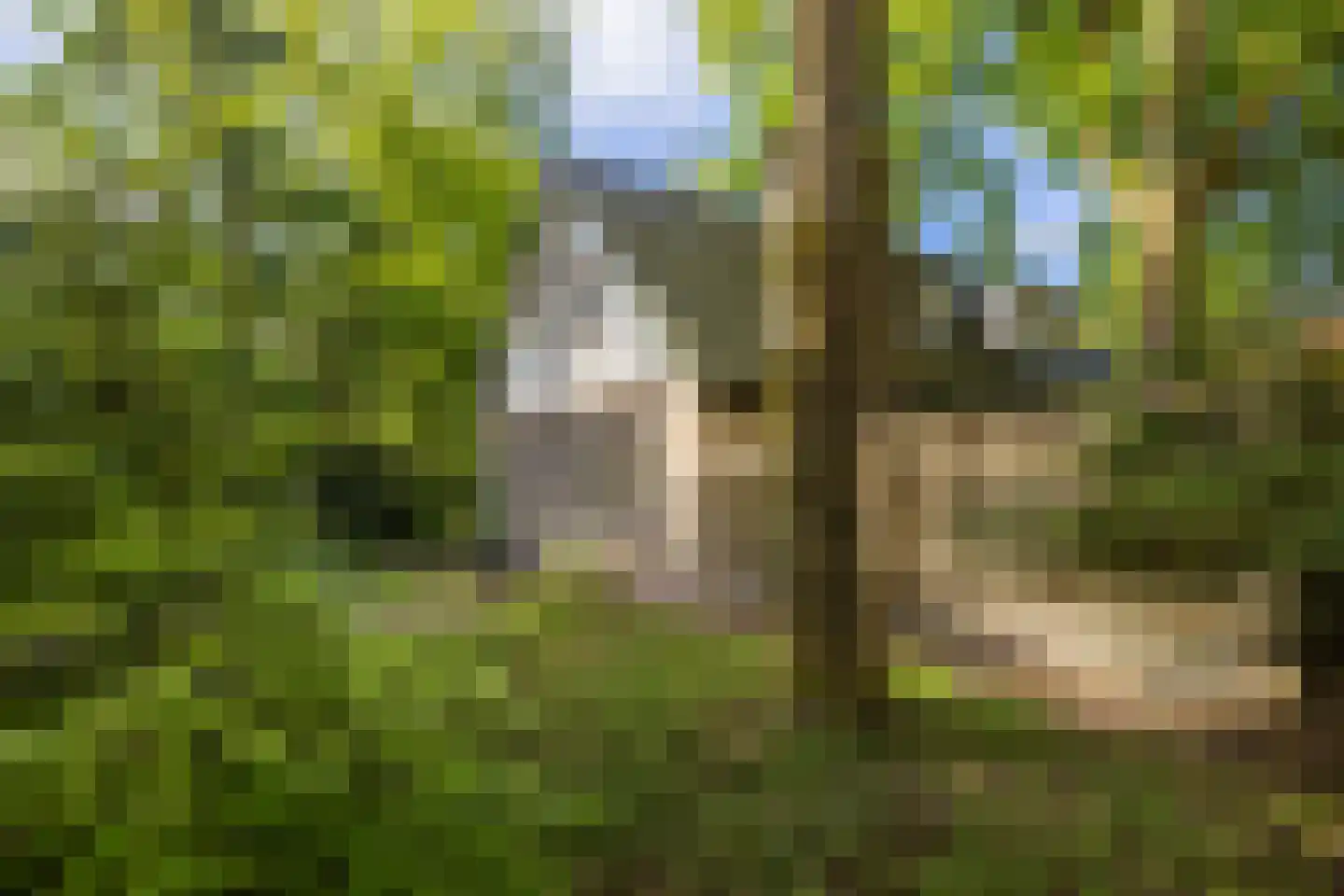 2e Heezerlaantje 8 Soest thumbnail 63