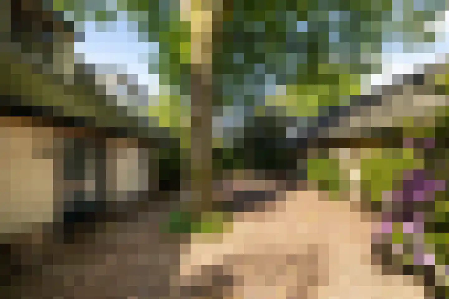 2e Heezerlaantje 8 Soest thumbnail 65