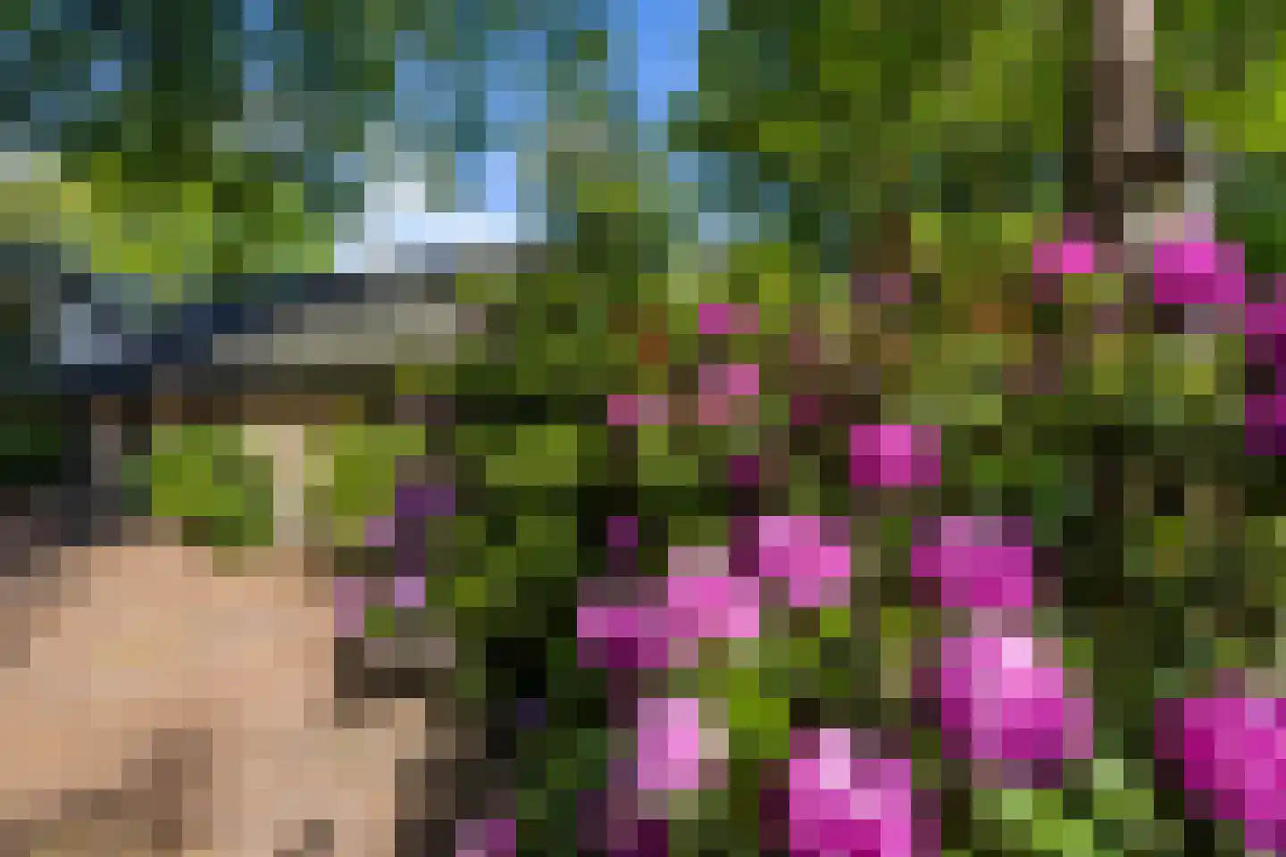 2e Heezerlaantje 8 Soest thumbnail 66