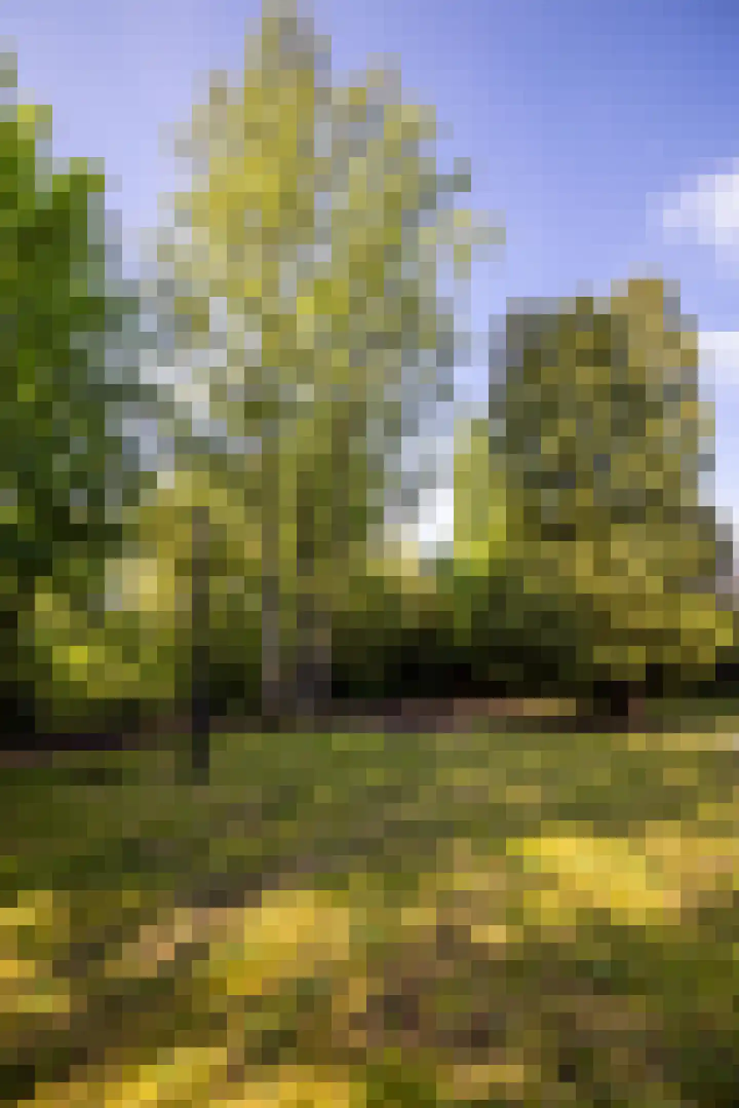 2e Heezerlaantje 8 Soest thumbnail 68