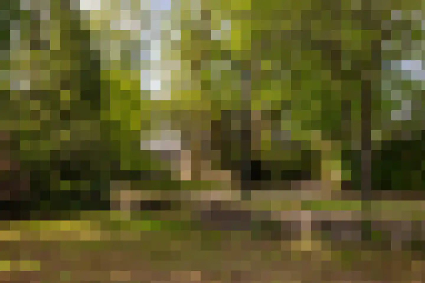 2e Heezerlaantje 8 Soest thumbnail 69