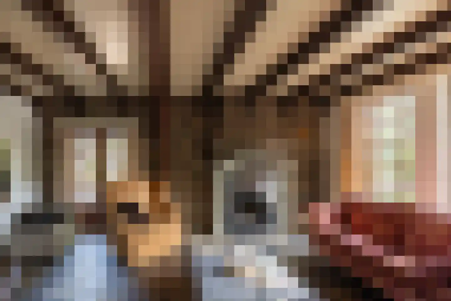 2e Heezerlaantje 8 Soest thumbnail 7