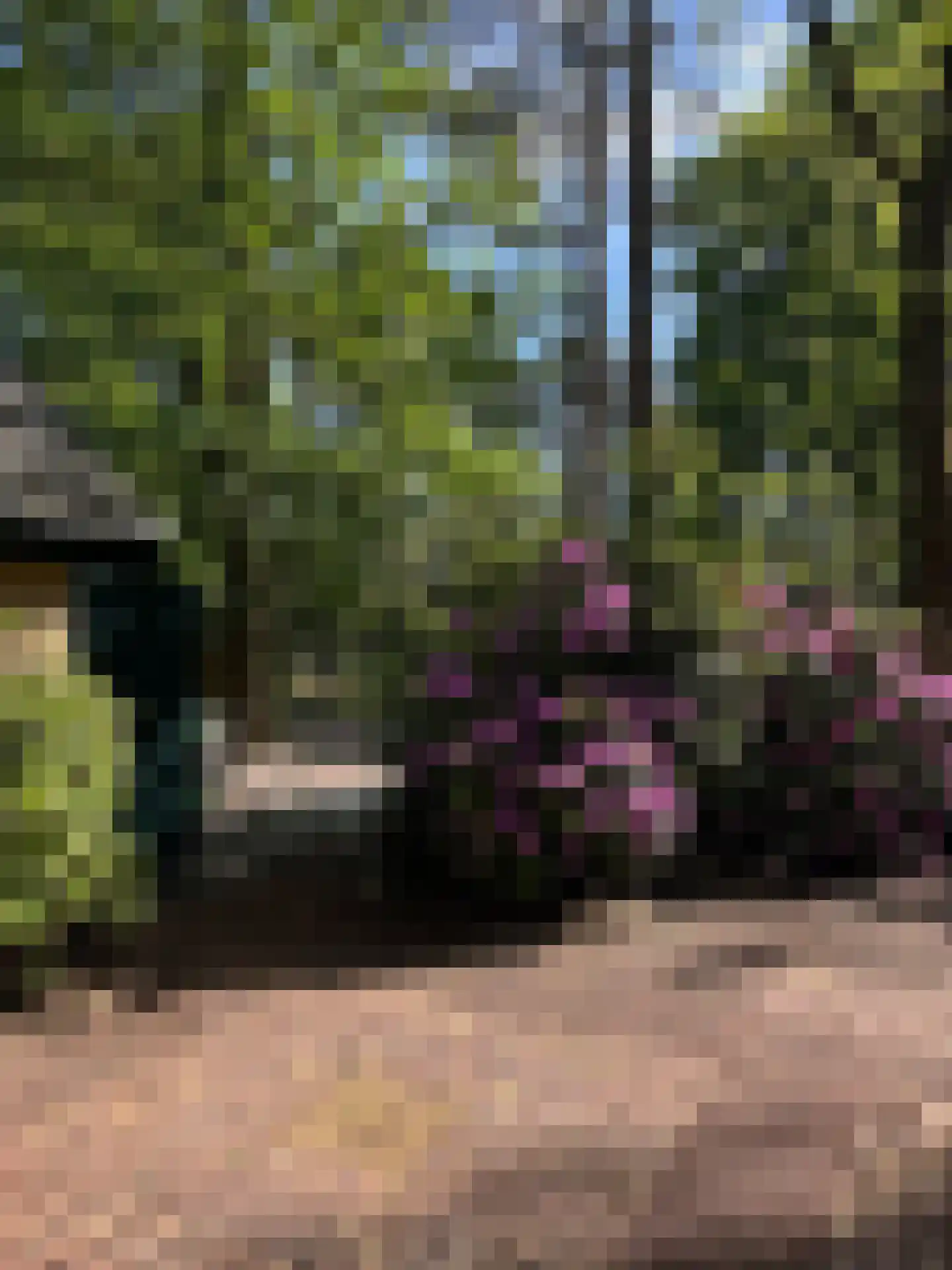 2e Heezerlaantje 8 Soest thumbnail 71