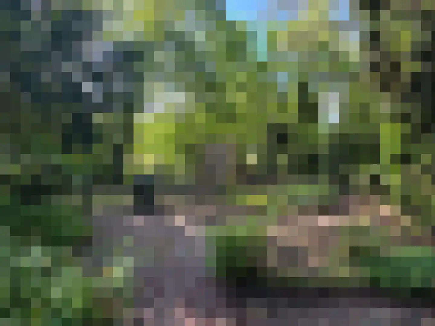 2e Heezerlaantje 8 Soest thumbnail 75
