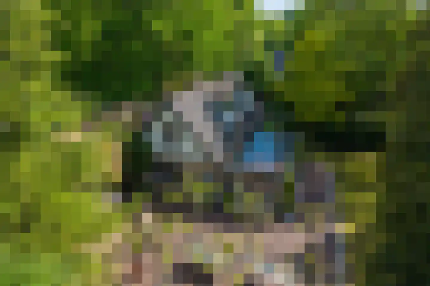 2e Heezerlaantje 8 Soest thumbnail 77