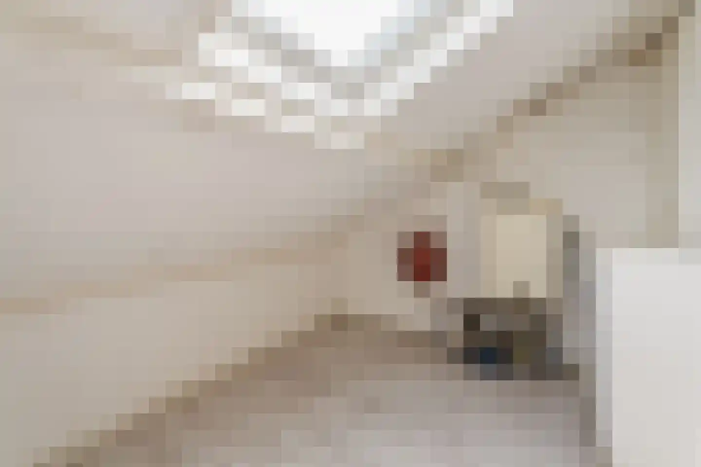 2e Hogenbanweg 100 Rotterdam thumbnail 34