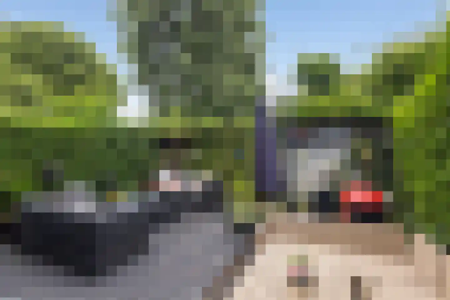 2e Hogenbanweg 55 A Rotterdam thumbnail 5
