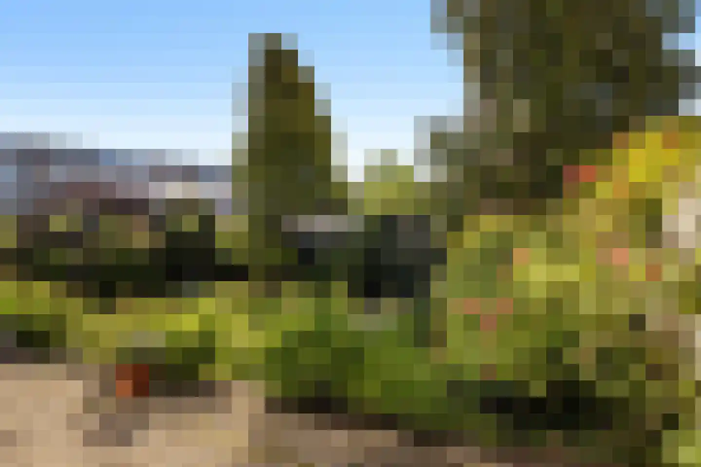 2e Hogenbanweg 67 B Rotterdam thumbnail 25