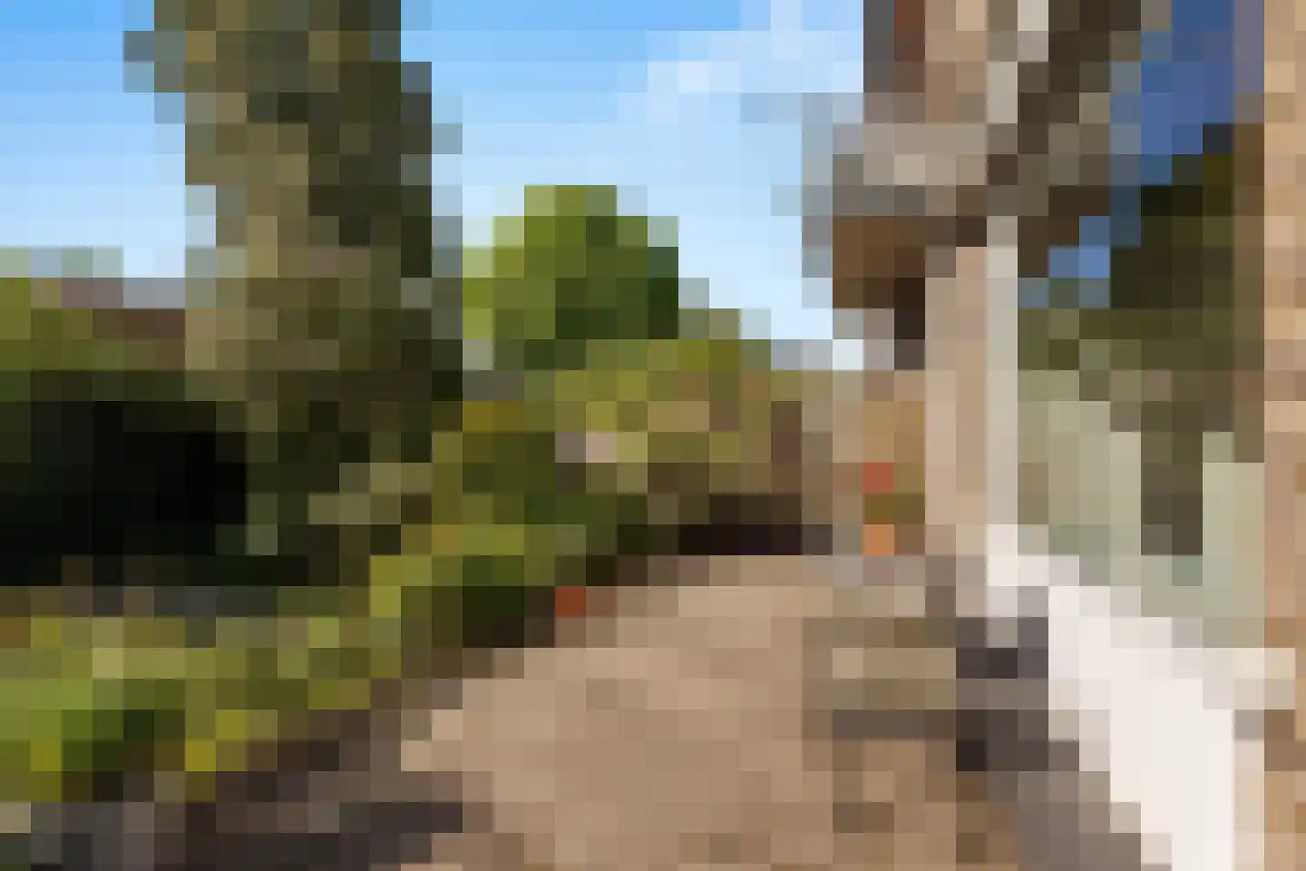 2e Hogenbanweg 67 B Rotterdam thumbnail 30
