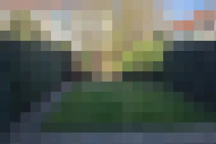 2e Hogenbanweg 76 Rotterdam thumbnail 18