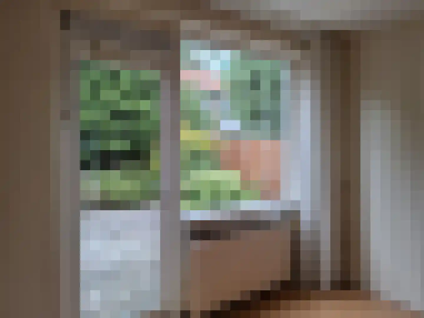 2e Hogenbanweg 88 Rotterdam thumbnail 17