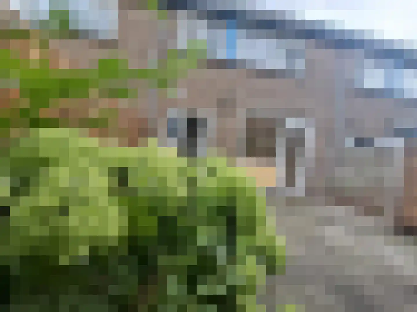 2e Hogenbanweg 88 Rotterdam thumbnail 18