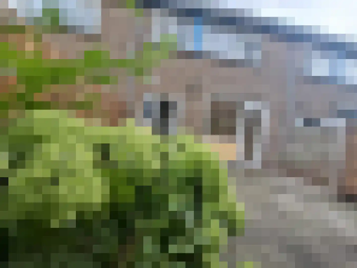 2e Hogenbanweg 88 Rotterdam thumbnail 19