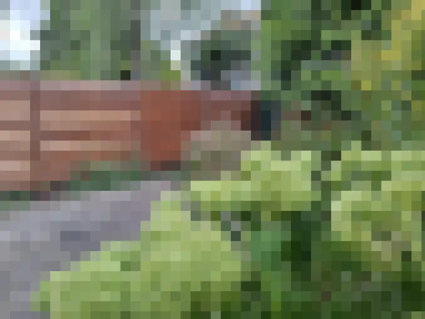 2e Hogenbanweg 88 Rotterdam thumbnail 20