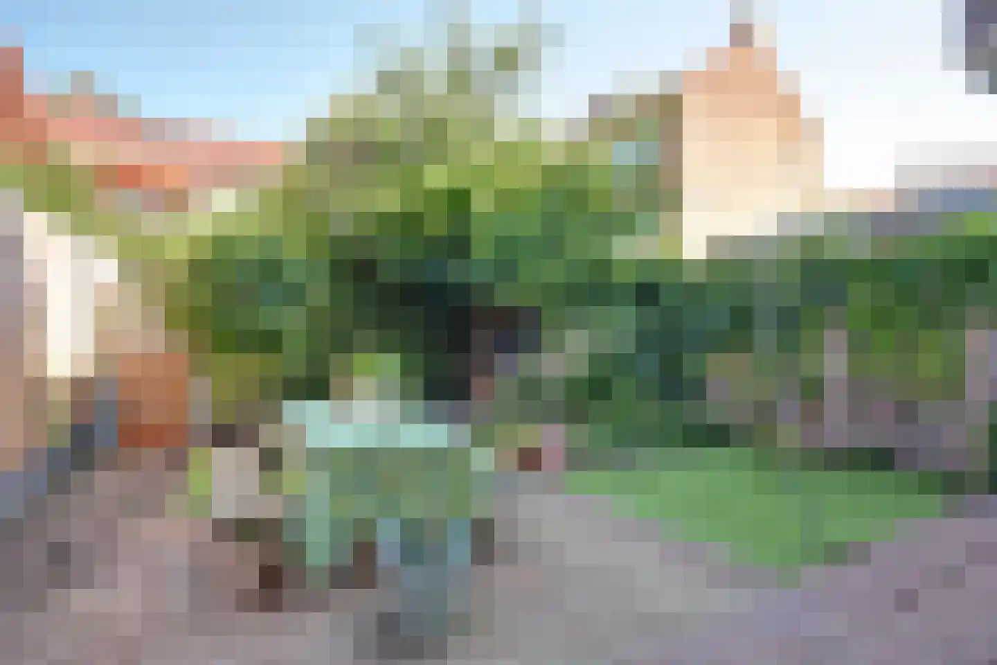 2e Hogenbanweg 96 Rotterdam thumbnail 15