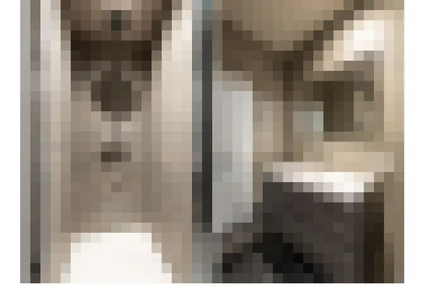 2e Hogeweg 2 A Zeist thumbnail 30